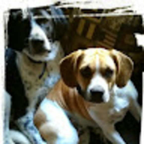 Meet your Posher, Jaime - Picture 1 of 1